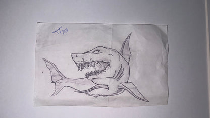 The Shark - El Tiburón