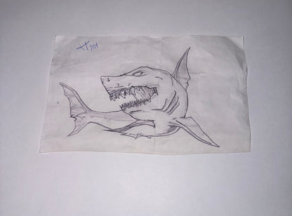 The Shark - El Tiburón