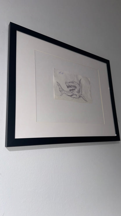 The Shark - El Tiburón